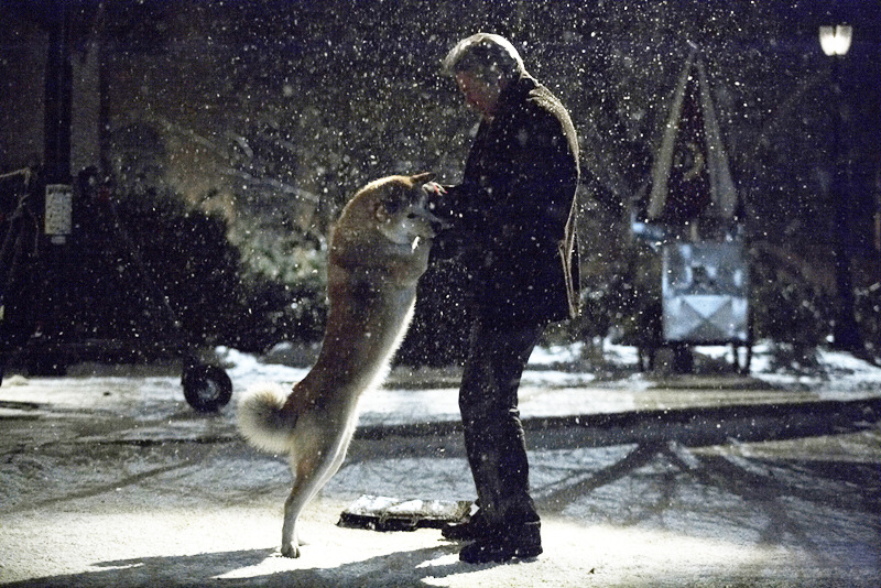 Фильм Хатико: Самый верный друг (2009). Кадр N37044