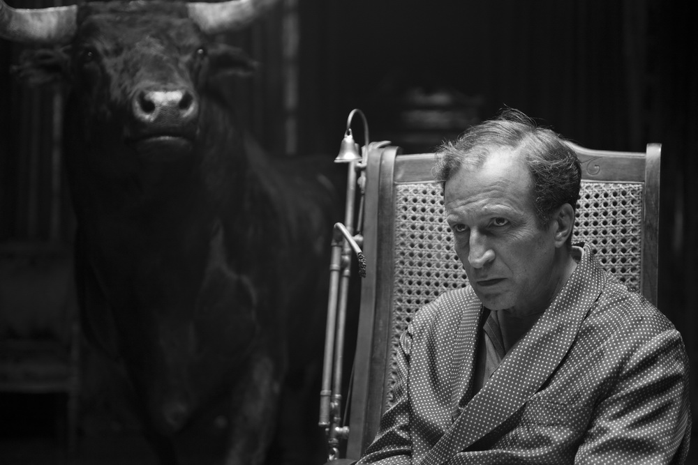 Фильм Белоснежка (2012). Кадр N50138