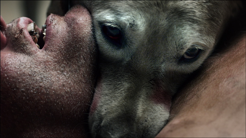 Фильм Азбука смерти (2012). Кадр N54165