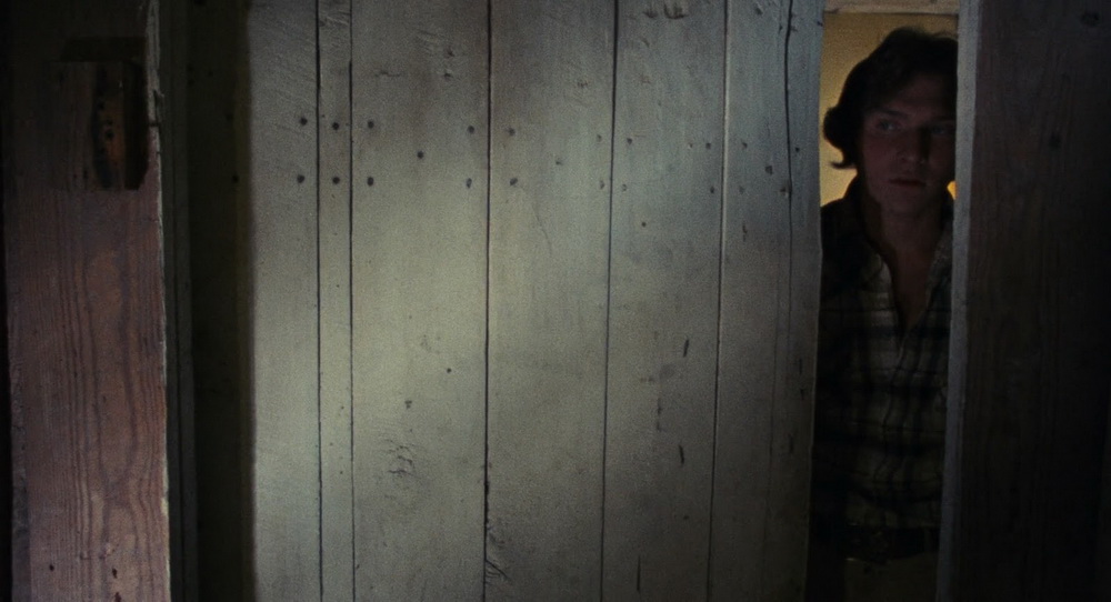 Фильм Зловещие мертвецы (1981). Кадр N56631