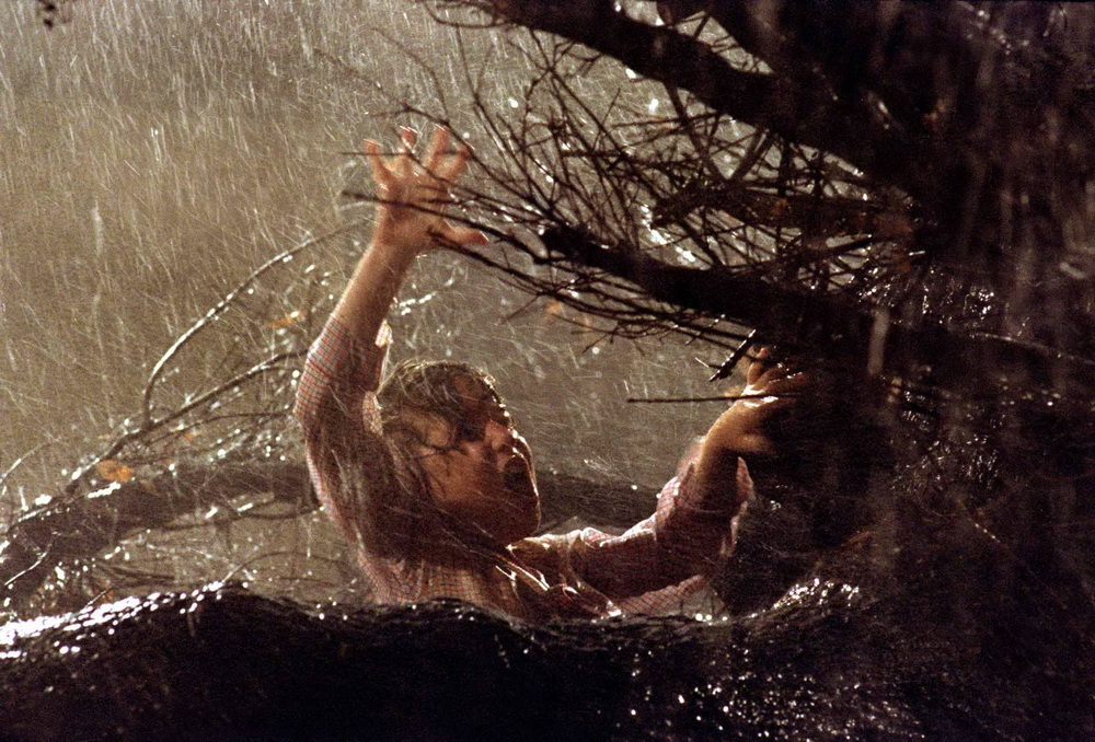 Фильм Полтергейст (1982). Кадр N57323