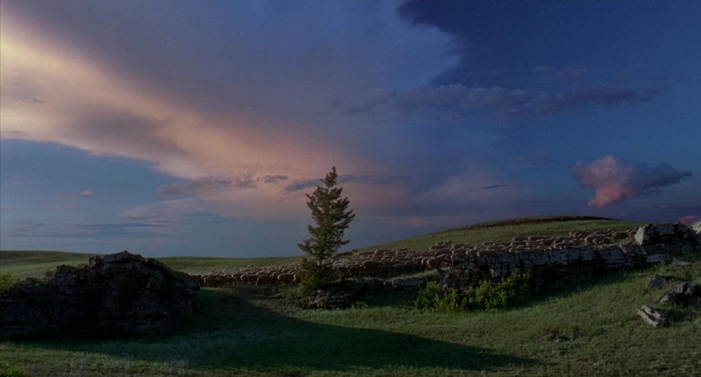 Фильм Горбатая гора (2005). Кадр N70273