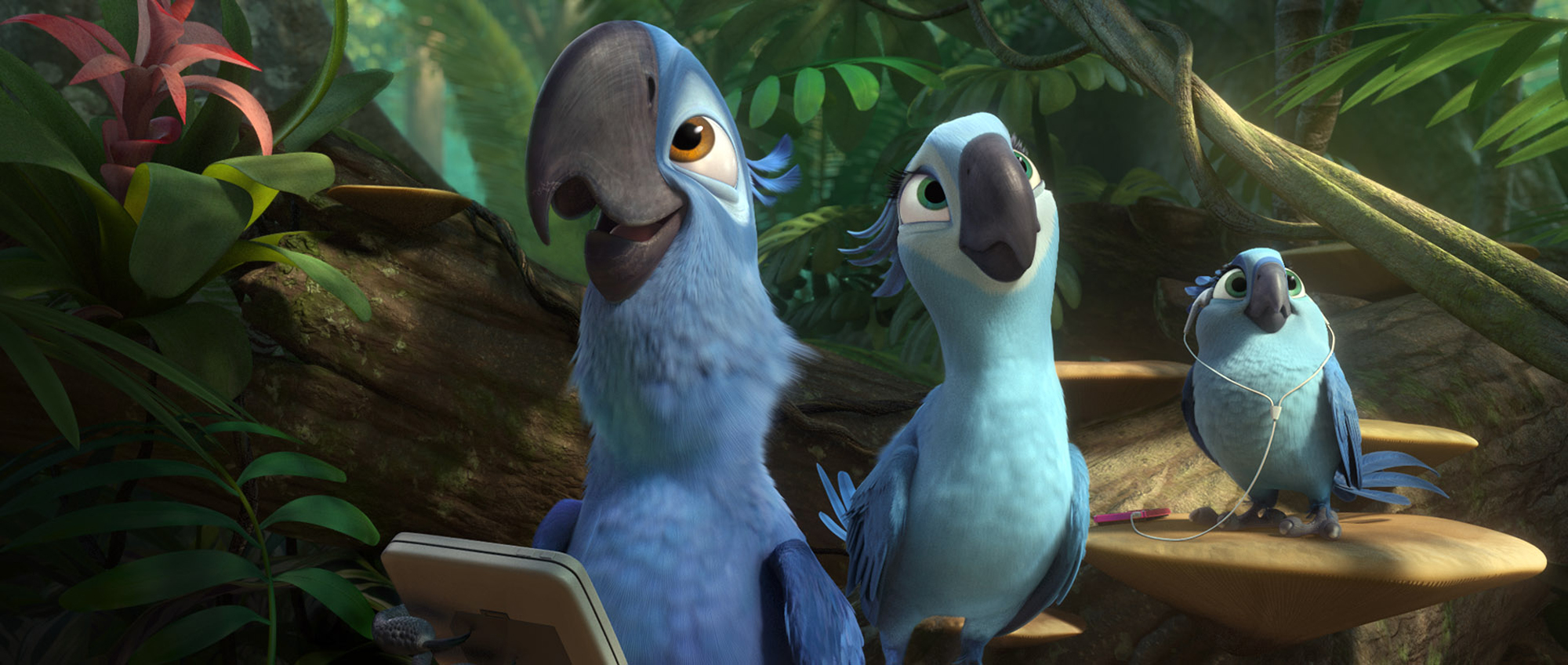 Кадры из мультфильма "Рио 2 (Rio 2) (2014)" .