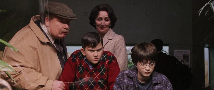 Фильм Гарри Поттер и философский камень (2001). Кадр N70381