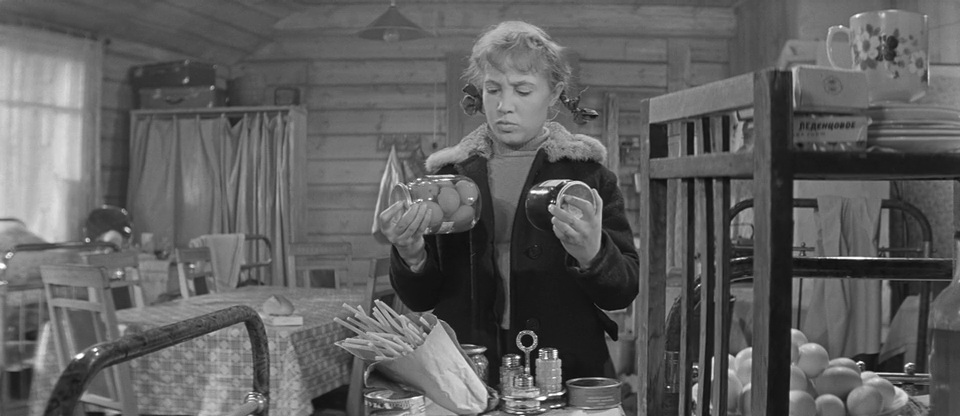 Фильм Девчата (1961). Кадр N70960