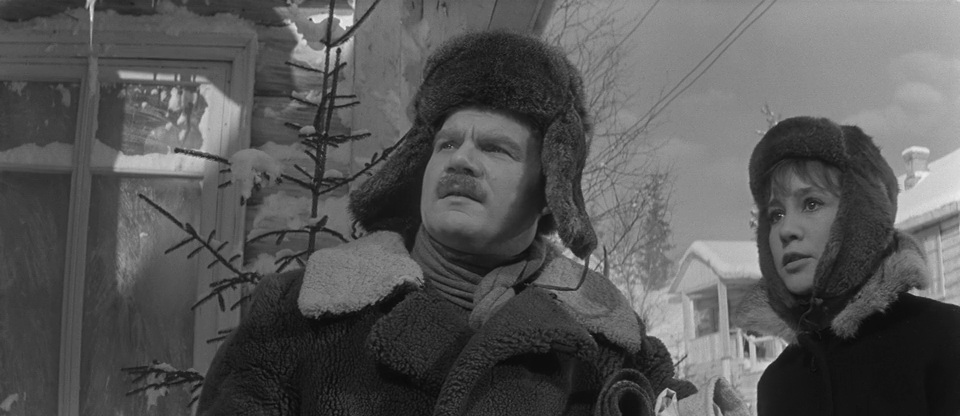 Фильм Девчата (1961). Кадр N70965