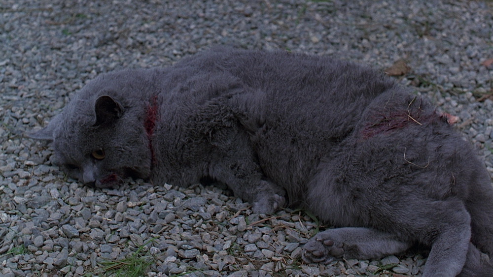Фильм Кладбище домашних животных (1989). Кадр N71609