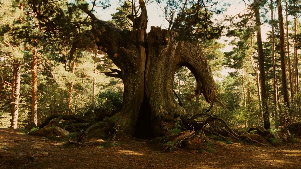 Фильм Лабиринт Фавна (2006). Кадр N71683