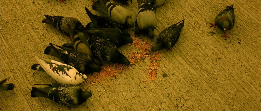Фильм Амели (2001). Кадр N71920