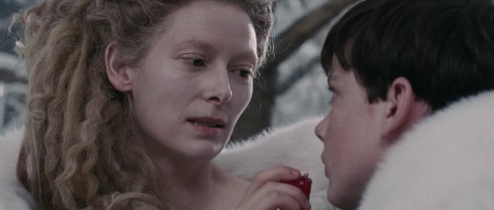 Фильм Хроники Нарнии: Лев, Колдунья и Волшебный шкаф (2005). Кадр N72140