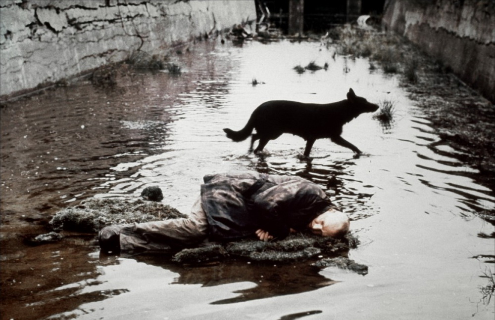 Фильм Сталкер (1979). Кадр N72381