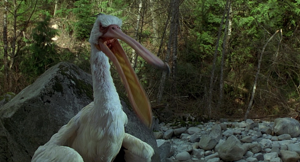 Фильм Джуманджи (1995). Кадр N73038
