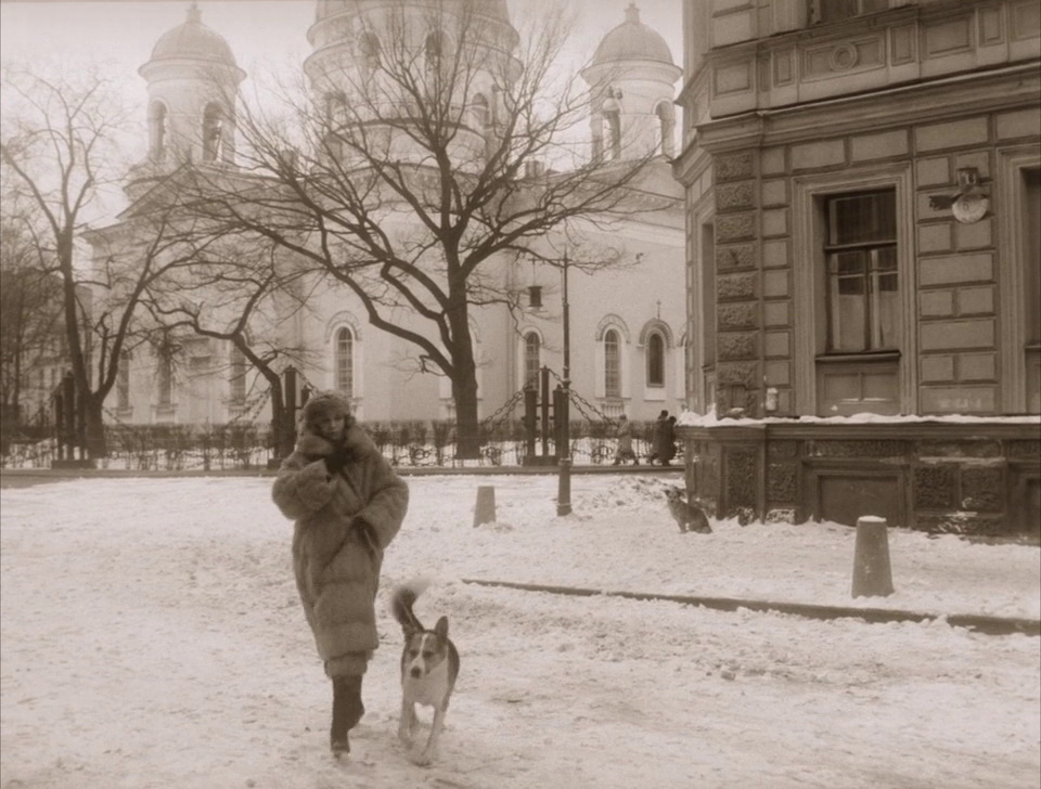 Фильм Собачье сердце (1988). Кадр N73379