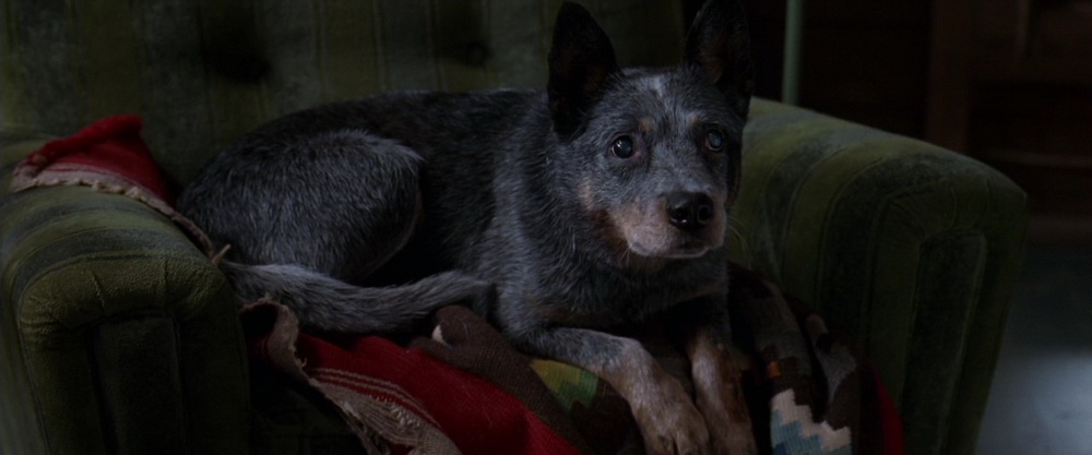 Фильм Тайное окно (2004). Кадр N73942