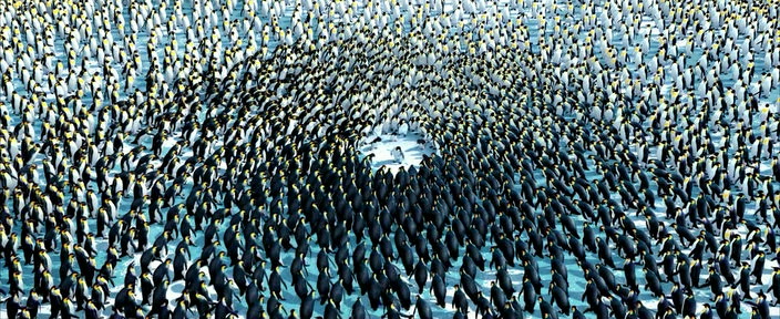 Фильм Делай ноги (2006). Кадр N74555