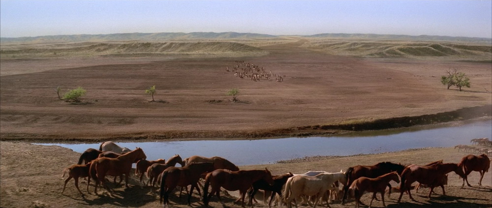 Фильм Танцующий с волками (1990). Кадр N74633