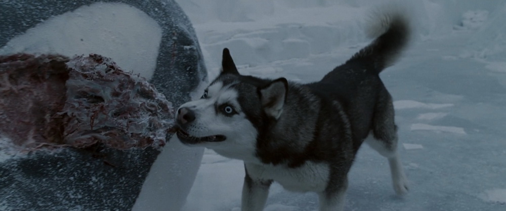 Фильм Белый плен (2006). Кадр N75272