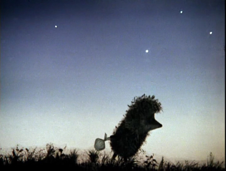 Фильм Ежик в тумане (1975). Кадр N76524