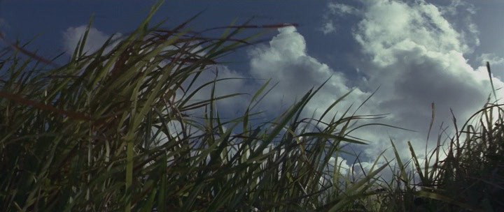Фильм Тонкая красная линия (1998). Кадр N79871