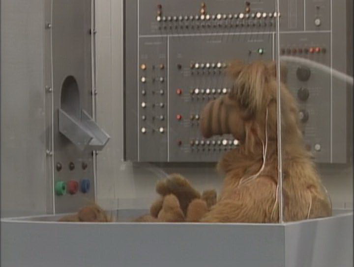 Сериал Альф (1986-1990). Кадр N80152