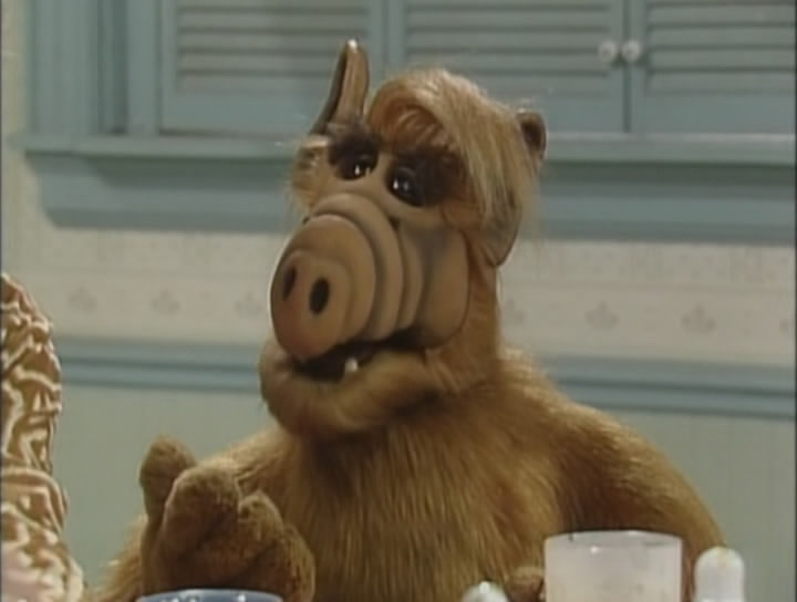 Сериал Альф (1986-1990). Кадр N80161