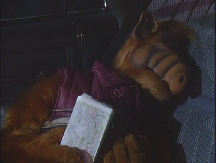Сериал Альф (1986-1990). Кадр N80163