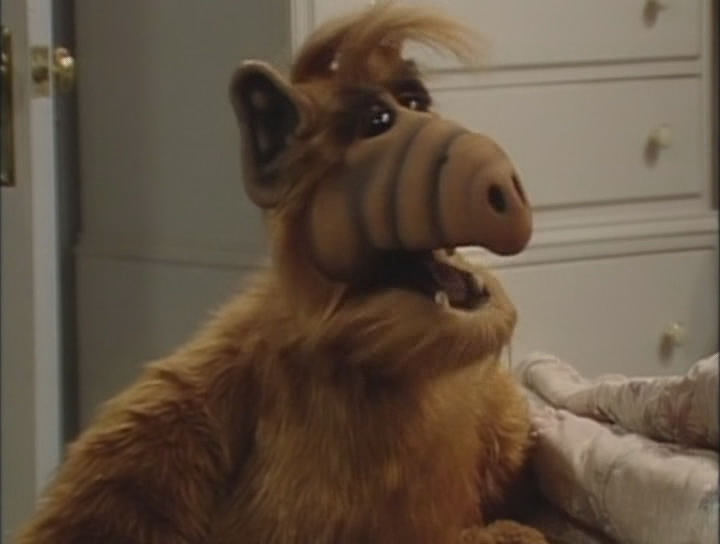 Сериал Альф (1986-1990). Кадр N80158