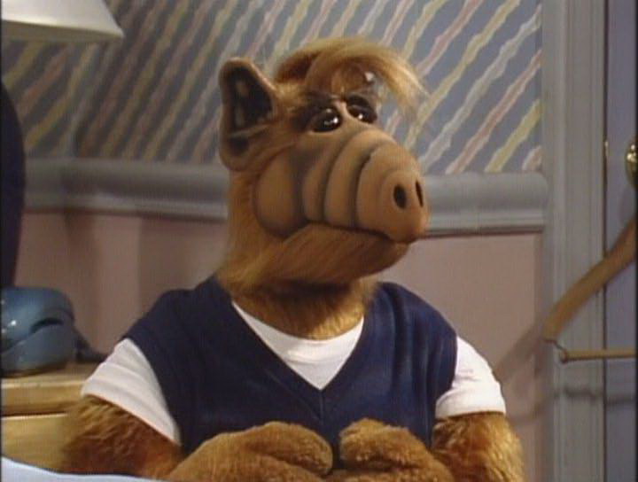 Сериал Альф (1986-1990). Кадр N80159