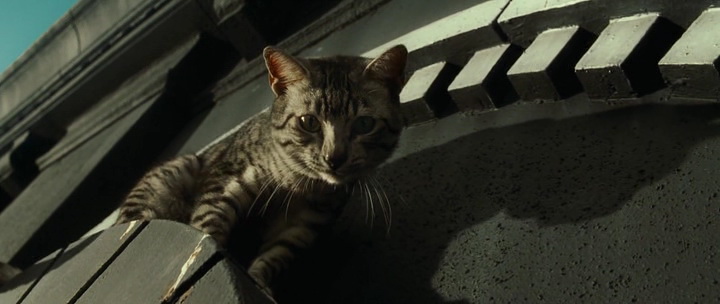 Фильм Женщина-кошка (2004). Кадр N80771