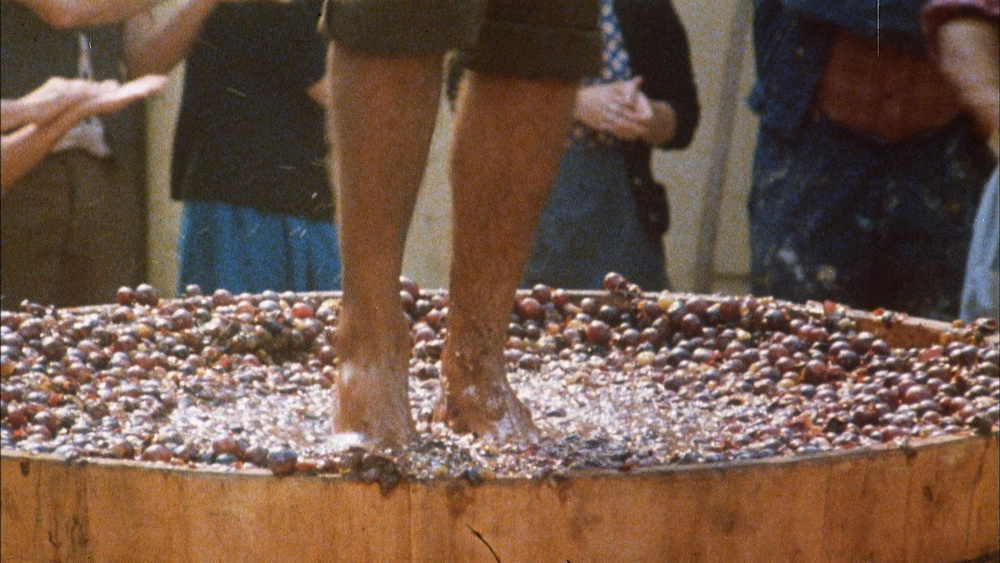 Фильм Укрощение строптивого (1980). Кадр N81067