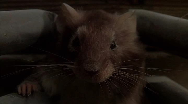 Фильм Мышиная охота (1997). Кадр N81731