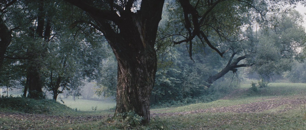 Фильм Солярис (1972). Кадр N82120