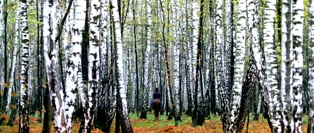 Фильм Дом летающих кинжалов (2004). Кадр N87145