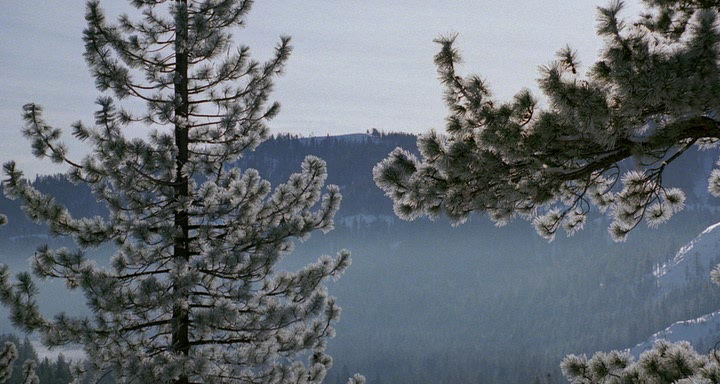 Фильм Мизери (1990). Кадр N88404