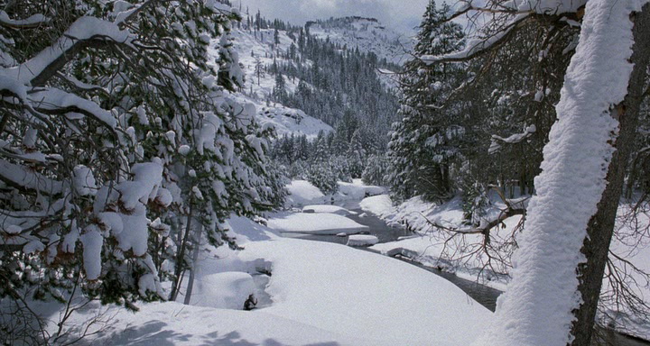 Фильм Мизери (1990). Кадр N88410