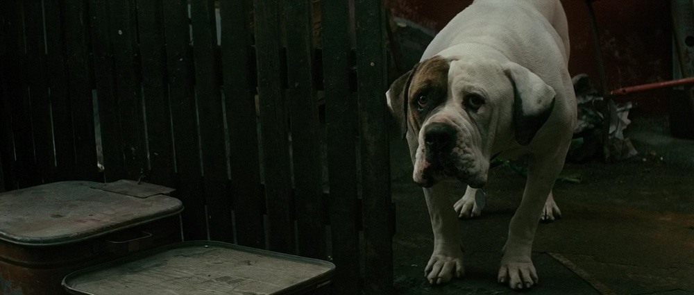 Фильм Роковое число 23 (2007). Кадр N88723
