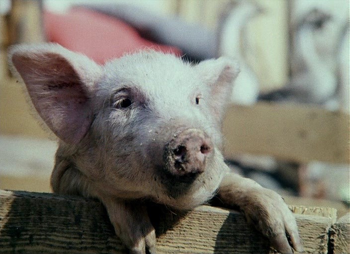 Фильм Не может быть! (1975). Кадр N90066