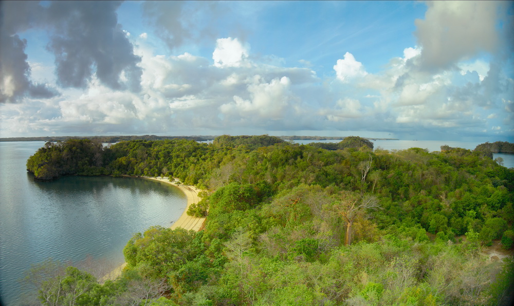 Остров лемуров: Мадагаскар: кадр N90641