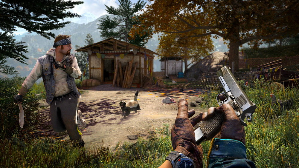 Far Cry 4: кадр N91492