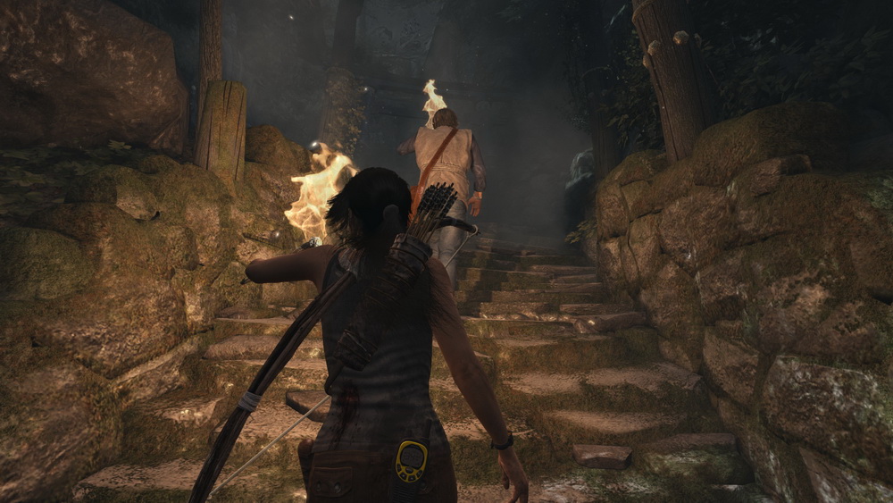 Игра Tomb Raider (2013). Скриншот N92395