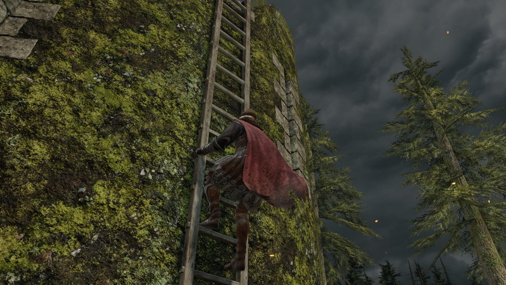 Игра Dark Souls II (2014). Скриншот N93816