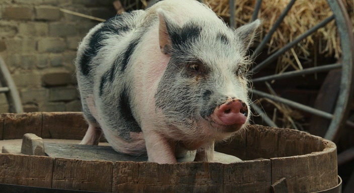 Фильм Гарфилд 2: История двух кошечек (2006). Кадр N94423