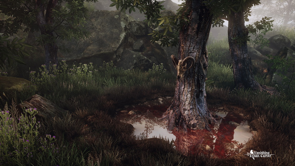 Игра The Vanishing of Ethan Carter (2014). Скриншот N94728