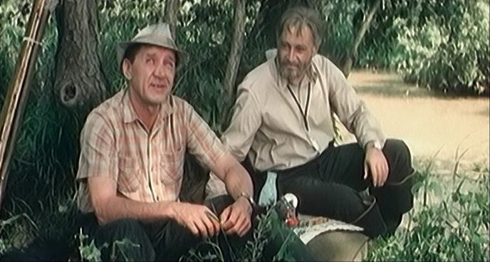 Фильм Белый Бим Черное ухо (1976). Кадр N95362