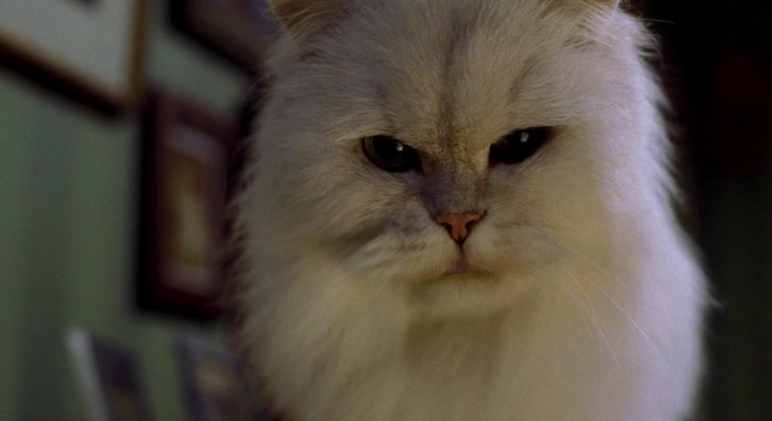 Фильм Стюарт Литтл (1999). Кадр N96970
