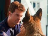 Превью кадра #32101 из фильма "Кошки против собак: Месть Китти Галор" (2010)