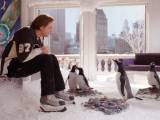 Превью кадра #33270 к фильму "Пингвины мистера Поппера" (2011)