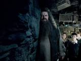 Превью кадра #34824 к фильму "Гарри Поттер и орден Феникса" (2007)