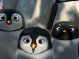 Превью кадра #36724 к мультфильму "Лови волну!" (2007)