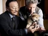 Кадры к подборке фильмов Какие лучшие фильмы про собак стоит посмотреть?